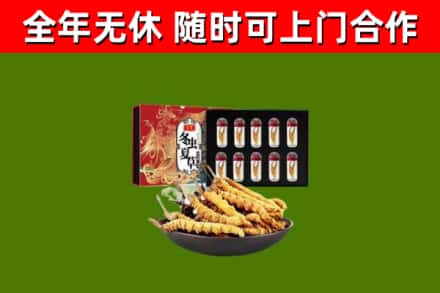 石渠回收冬虫夏草价格