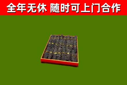 石渠回收海参